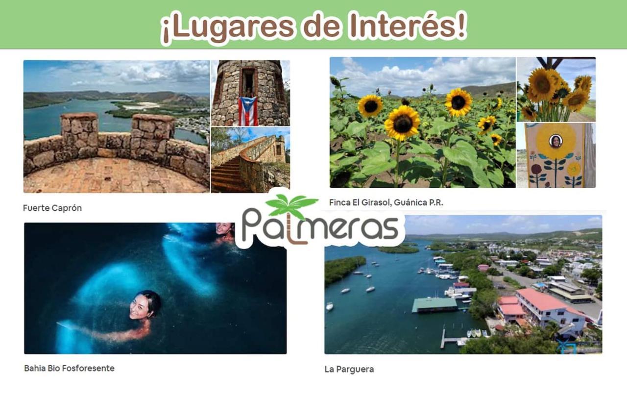 Palmeras Beach Apartments - Playa Santa Guanica Eksteriør bilde