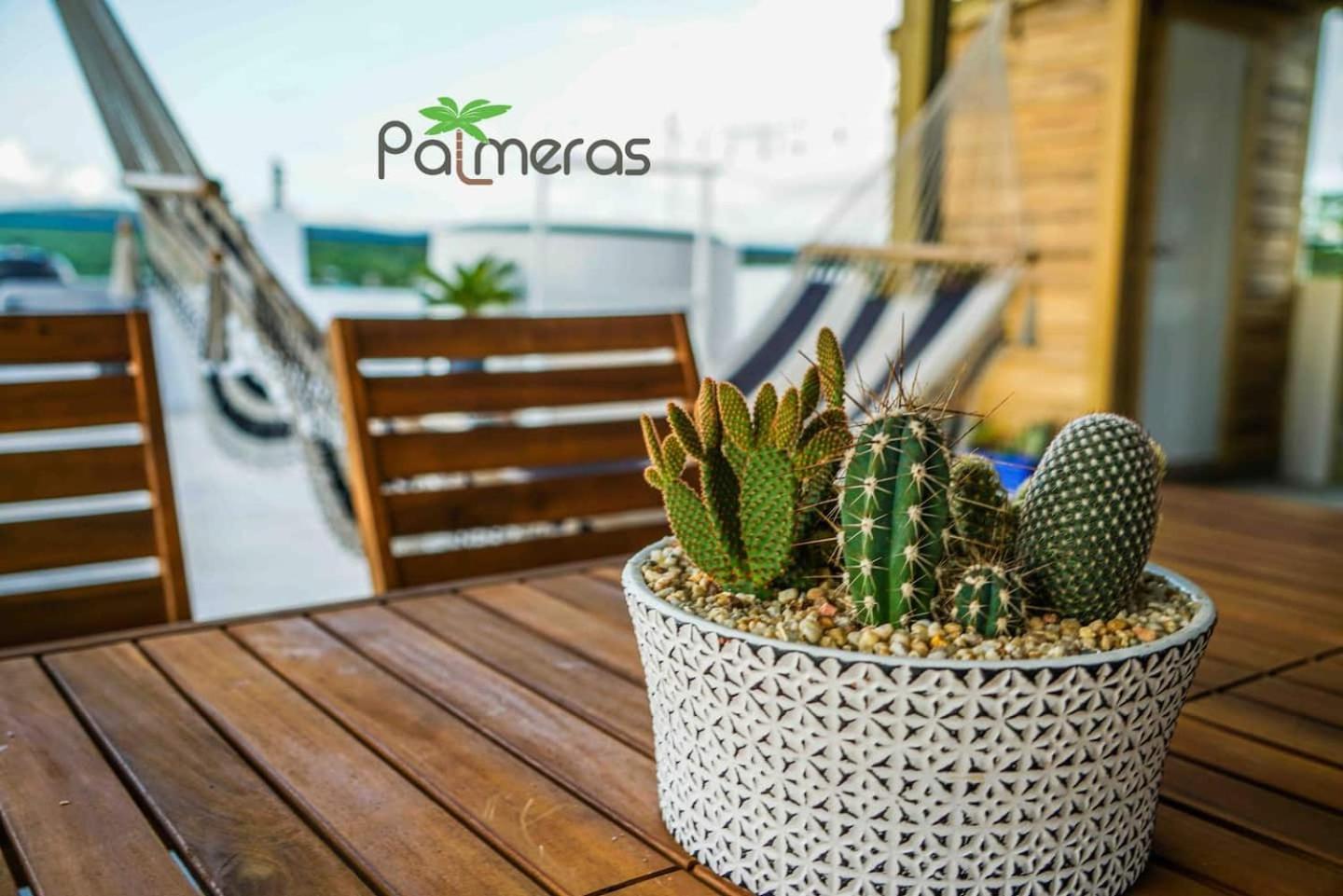 Palmeras Beach Apartments - Playa Santa Guanica Rom bilde